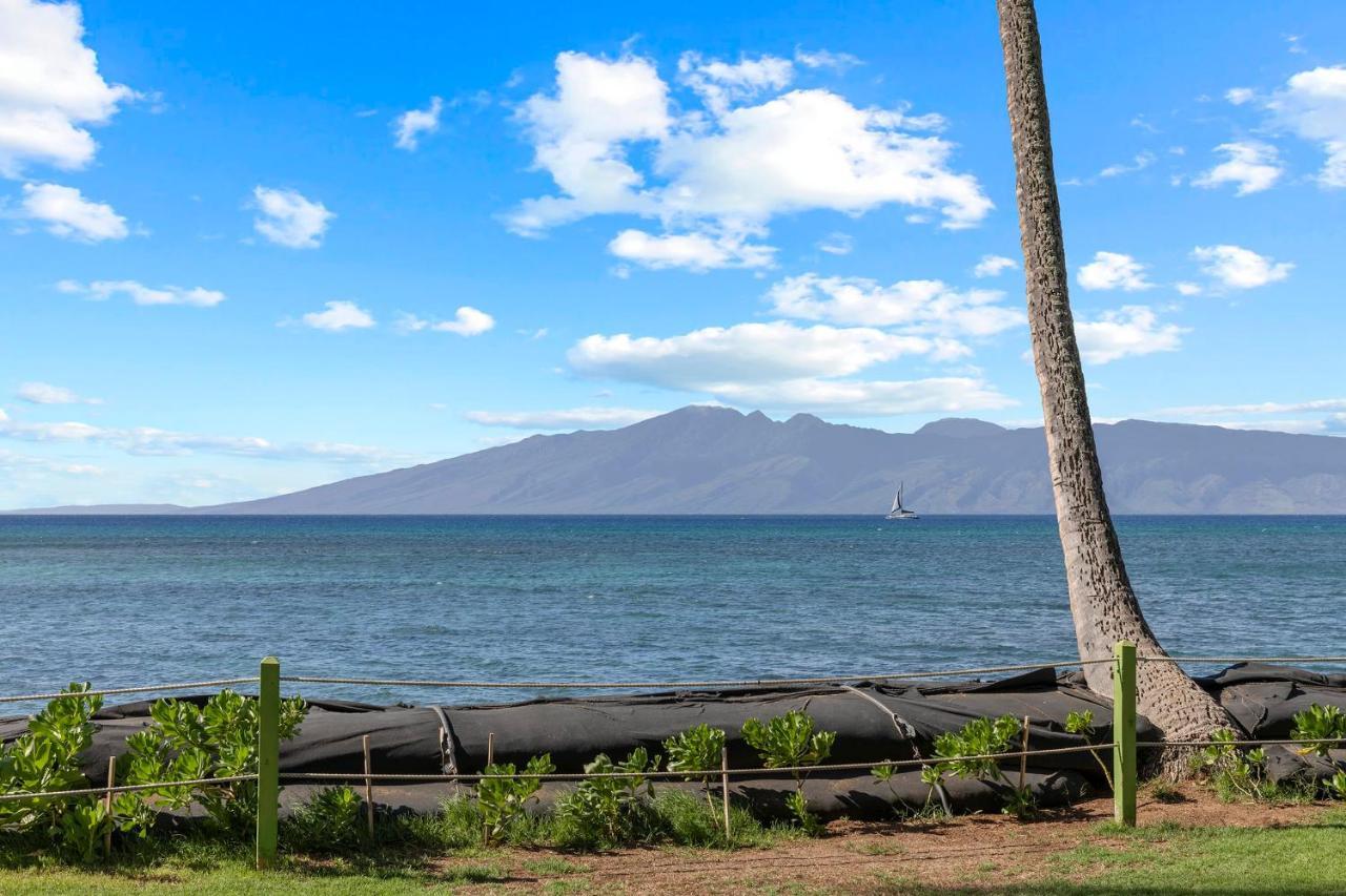 Incredible Beachfront 1Br - Sleeps 4 Awesome Location And In The Center Of Restaurants Many Beaches Golf And More Villa Kahana Eksteriør billede