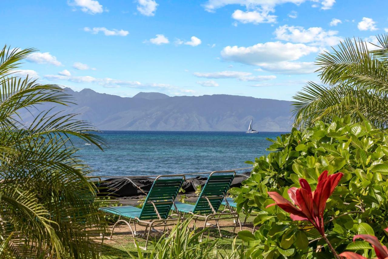 Incredible Beachfront 1Br - Sleeps 4 Awesome Location And In The Center Of Restaurants Many Beaches Golf And More Villa Kahana Eksteriør billede